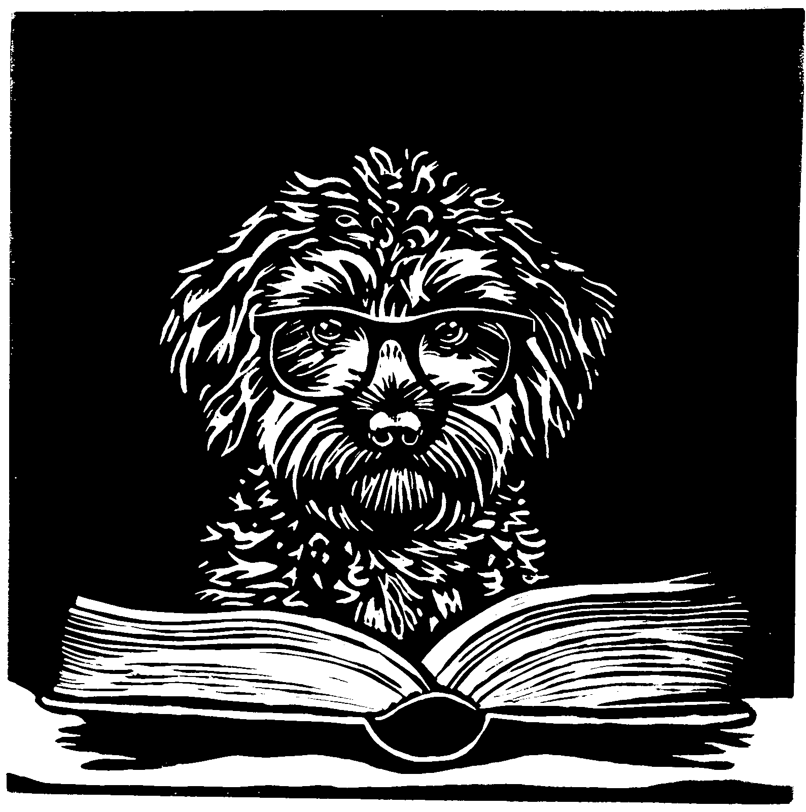 Bibliodoodle