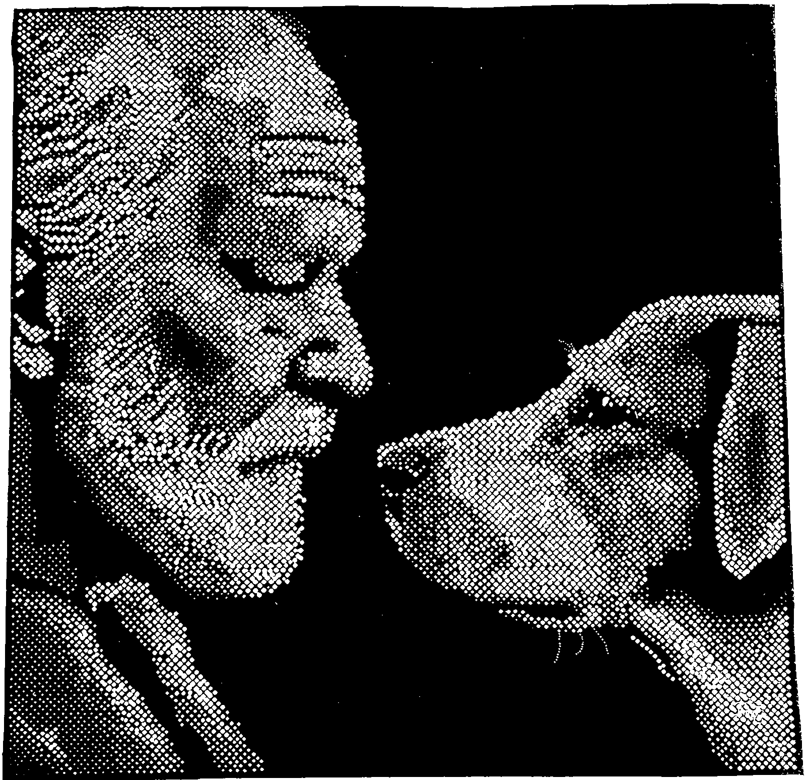 Old Friends