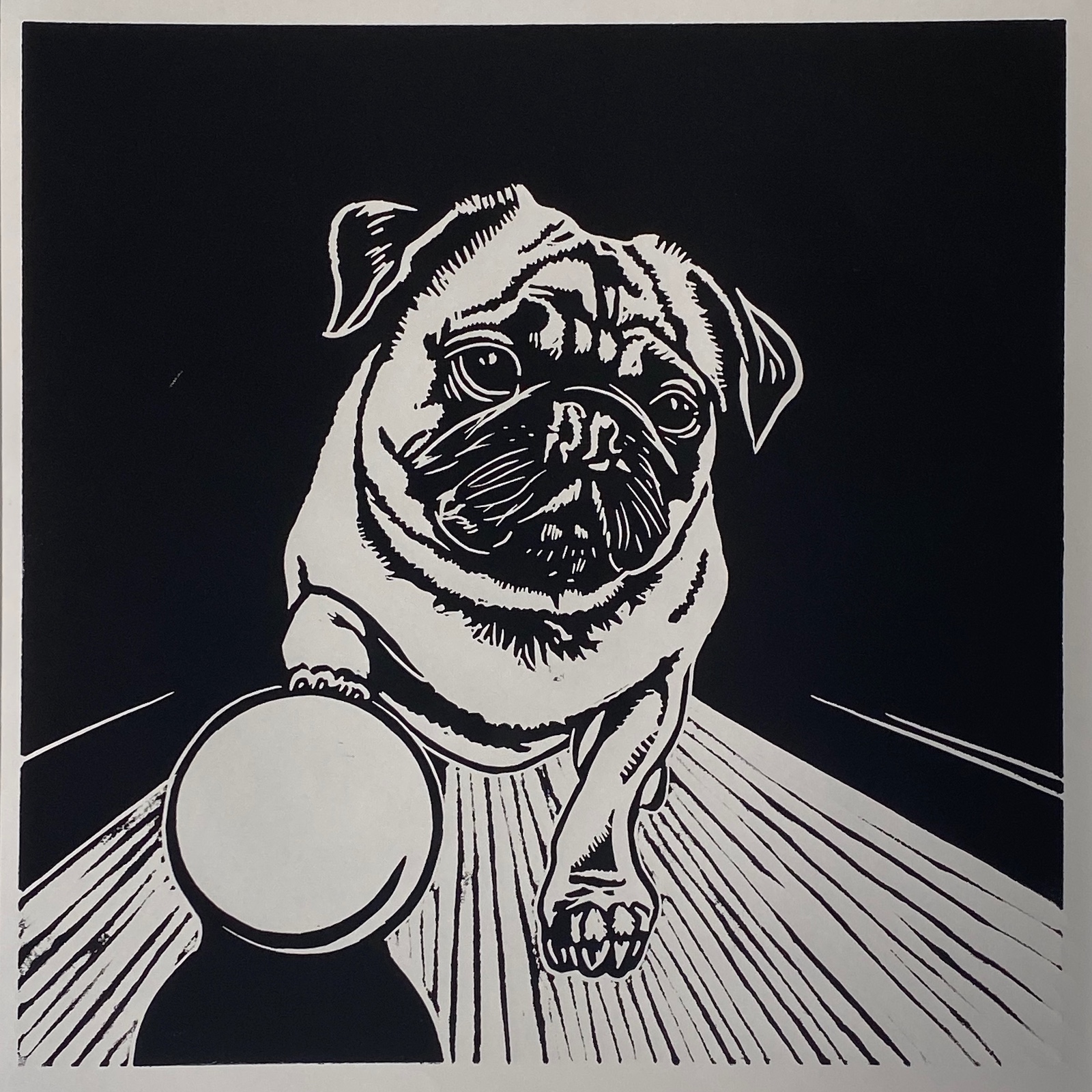 Pug Bowling